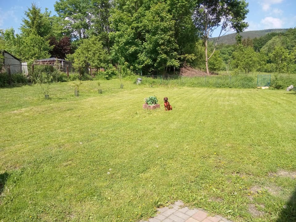 Hunter u Kasi Farm Stay in Lower Silesian Voivodeship