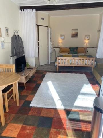 No 5 Plaisance Studio Apartment in Occitanie