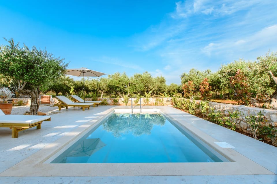 Garden, Garden view, Swimming pool