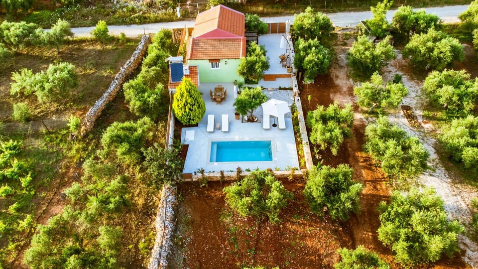 Natural landscape, Garden, Pool view