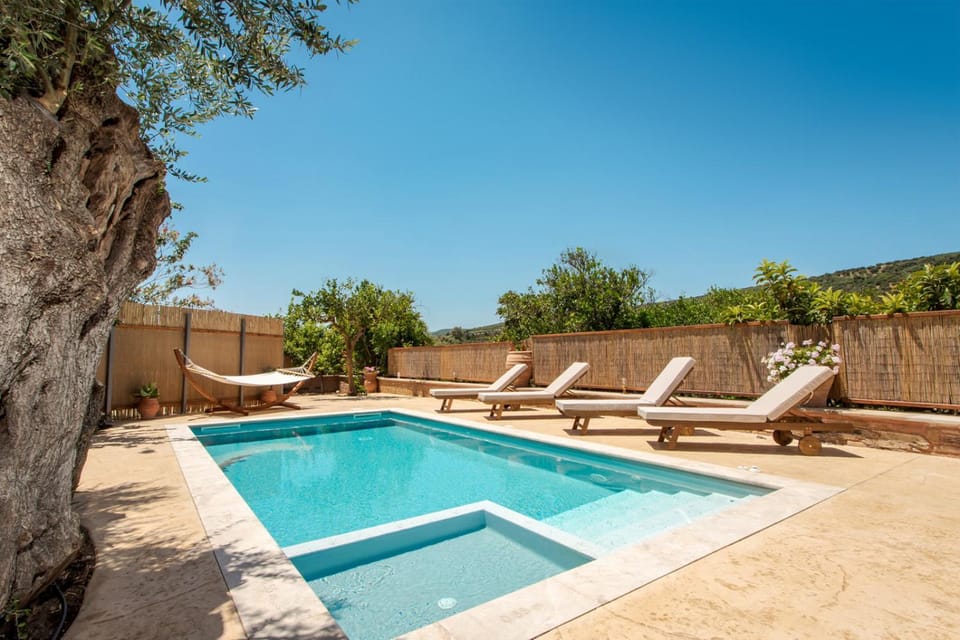 Patio, Day, Natural landscape, Pool view, Swimming pool, Swimming pool, sunbed