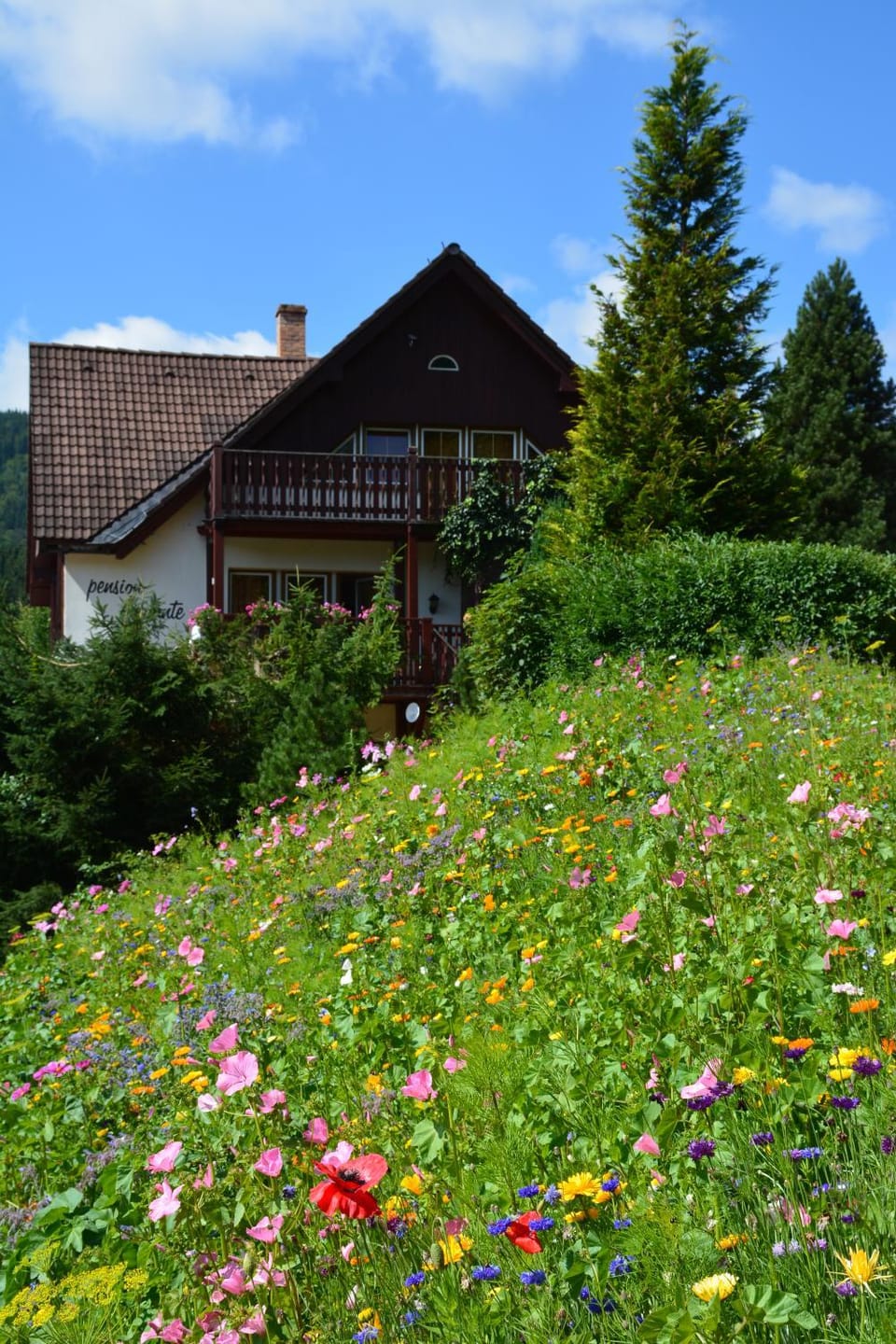 Property building, Summer