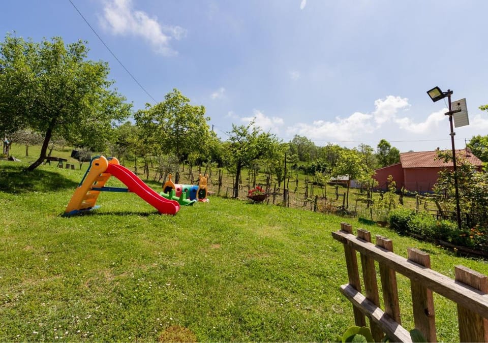 Children play ground