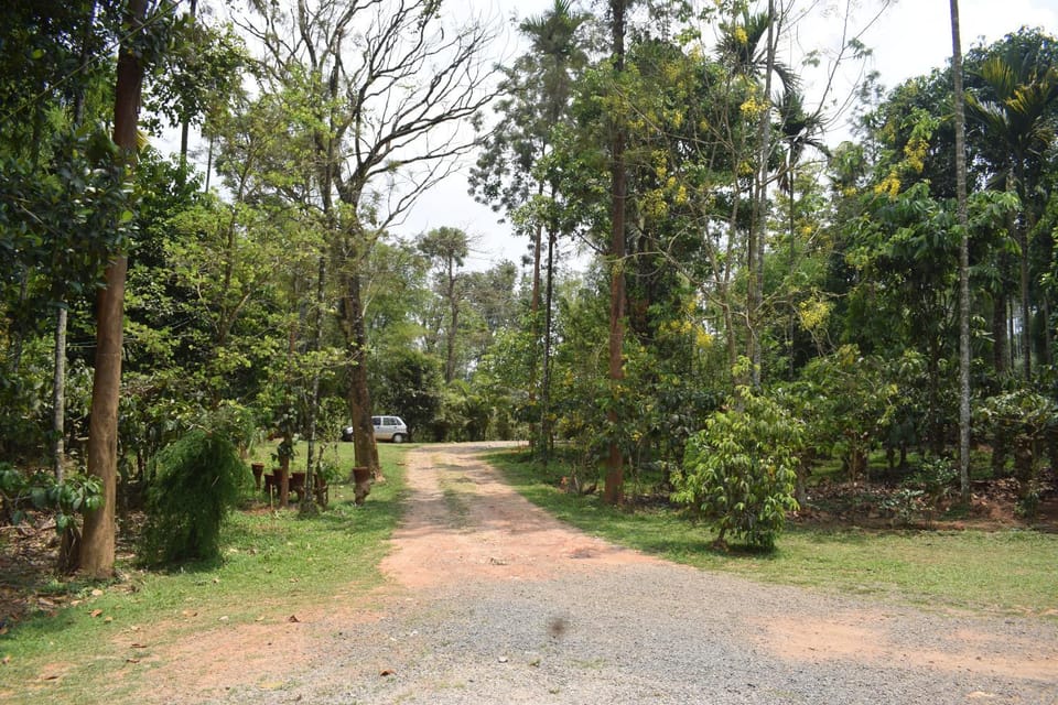 Natural landscape