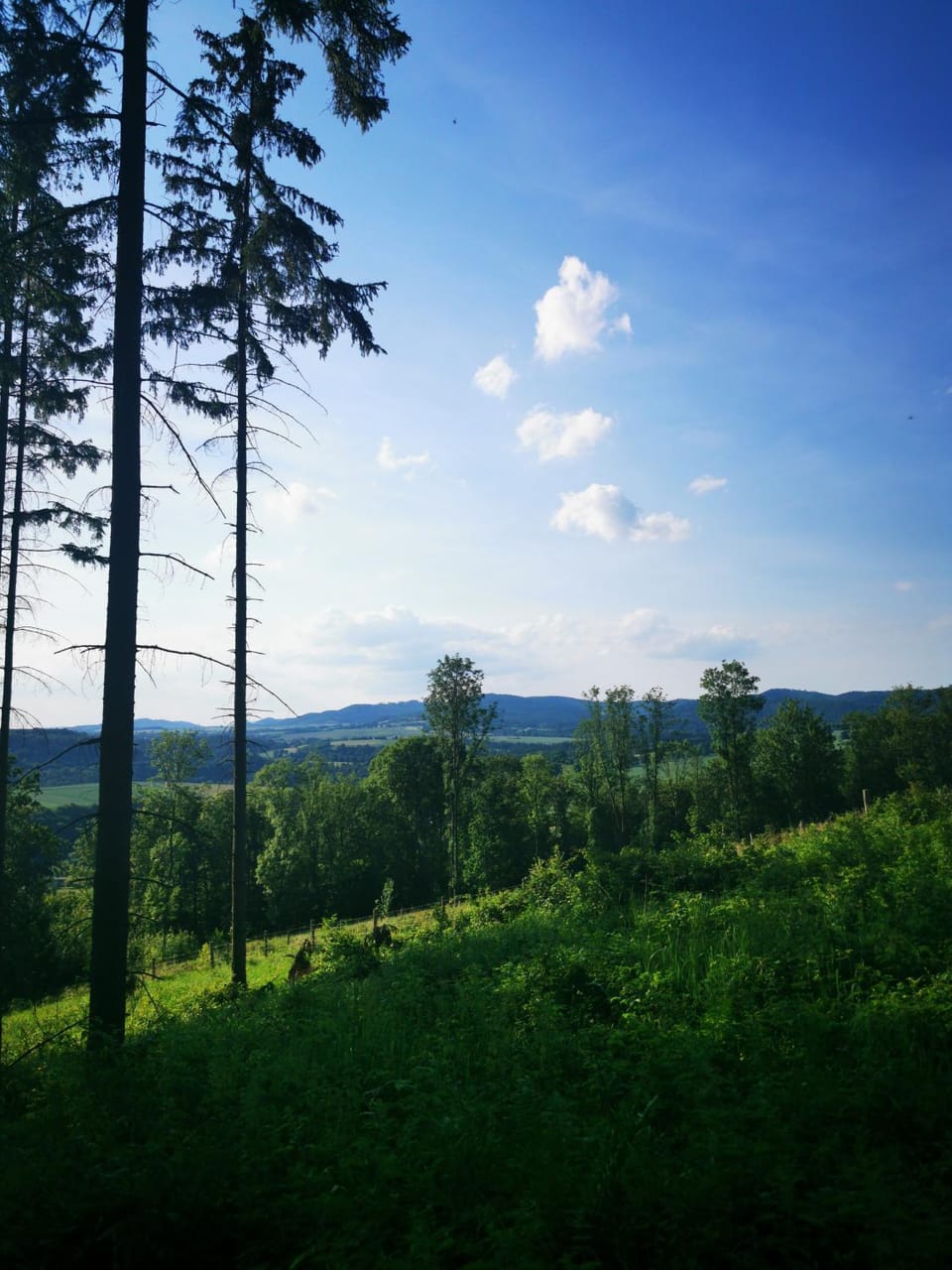 Natural landscape, Hiking