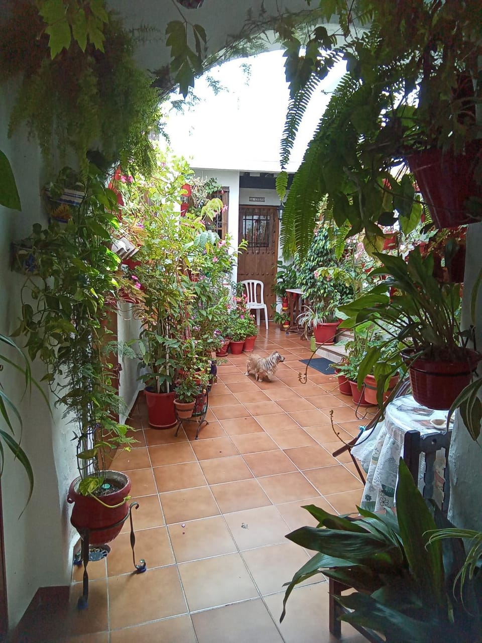 Patio