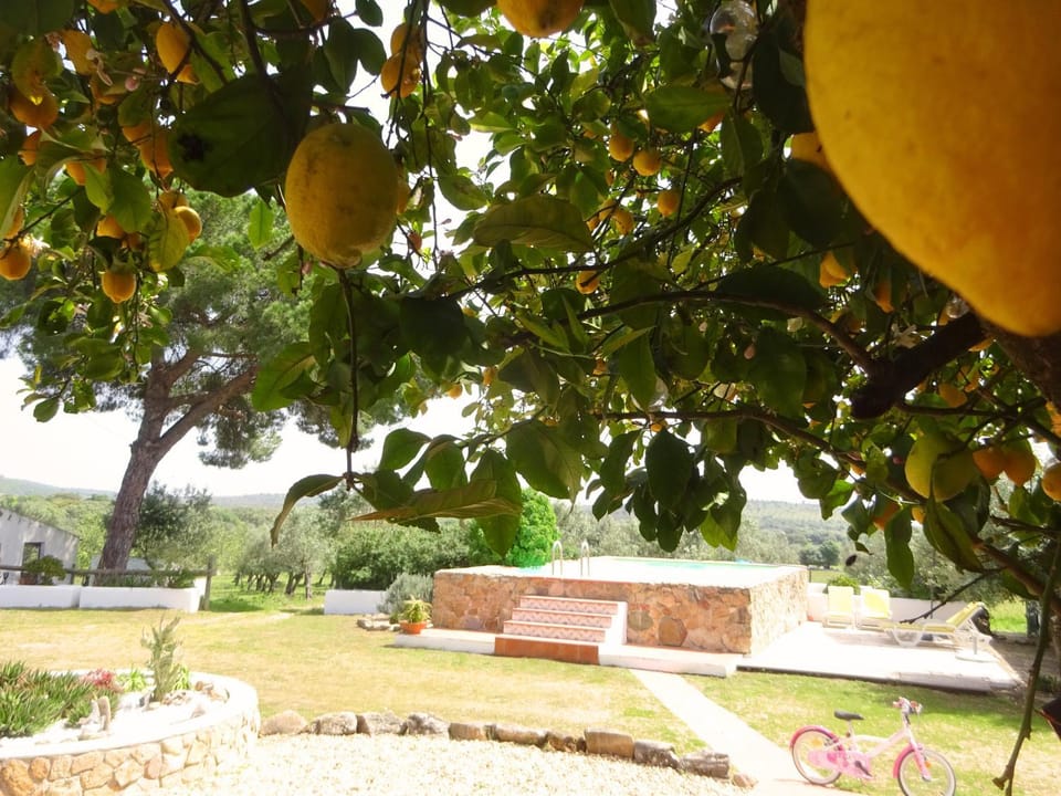 Natural landscape, Garden view