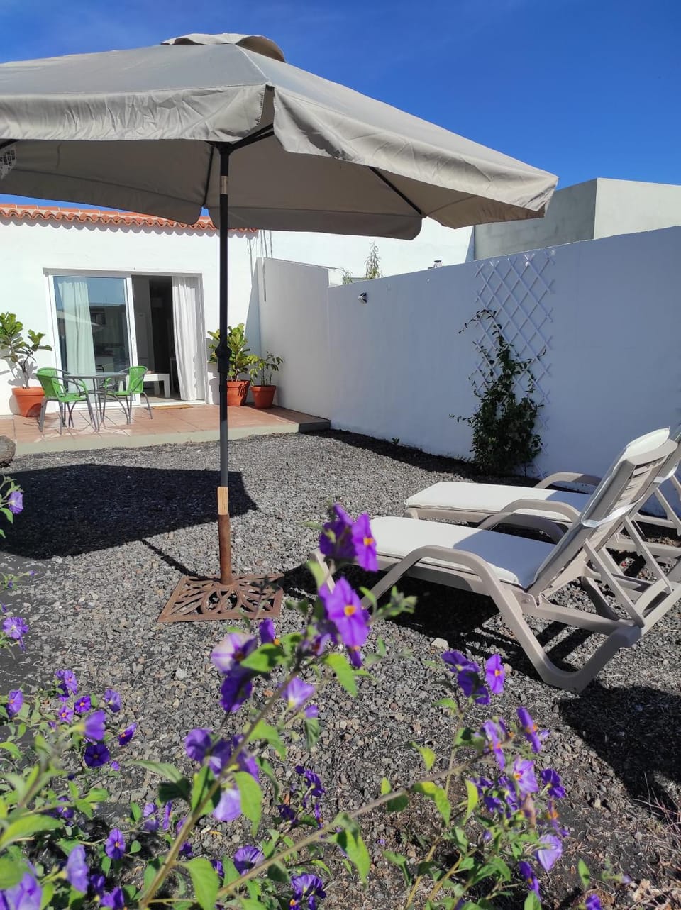 Garden, Garden view, sunbed