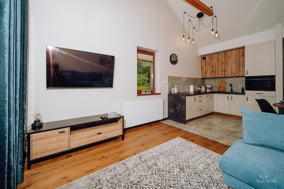 Apartament Silence Karpatia Resort Turkus Apartment in Lower Silesian Voivodeship