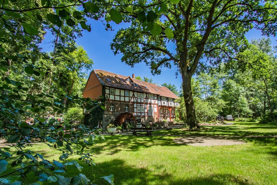 Property building, Garden, Garden view