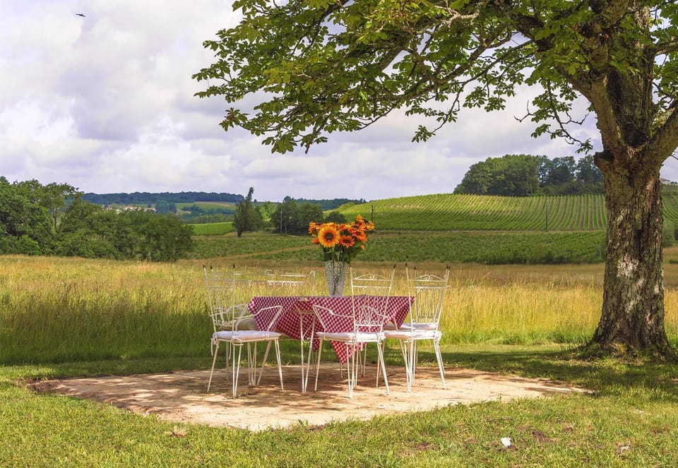 Spring, Garden, Dining area, Garden view