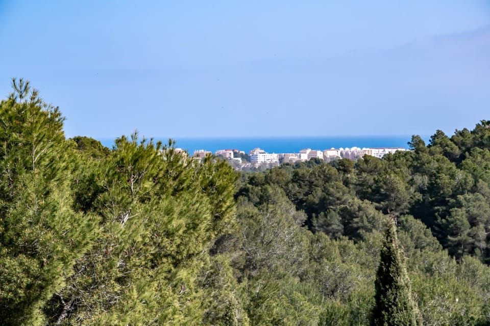 Villa Sofia Villa in Marina Alta