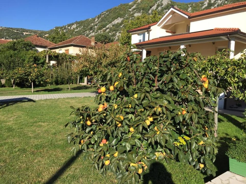 Villa Šurmanci Villa in Dubrovnik-Neretva County