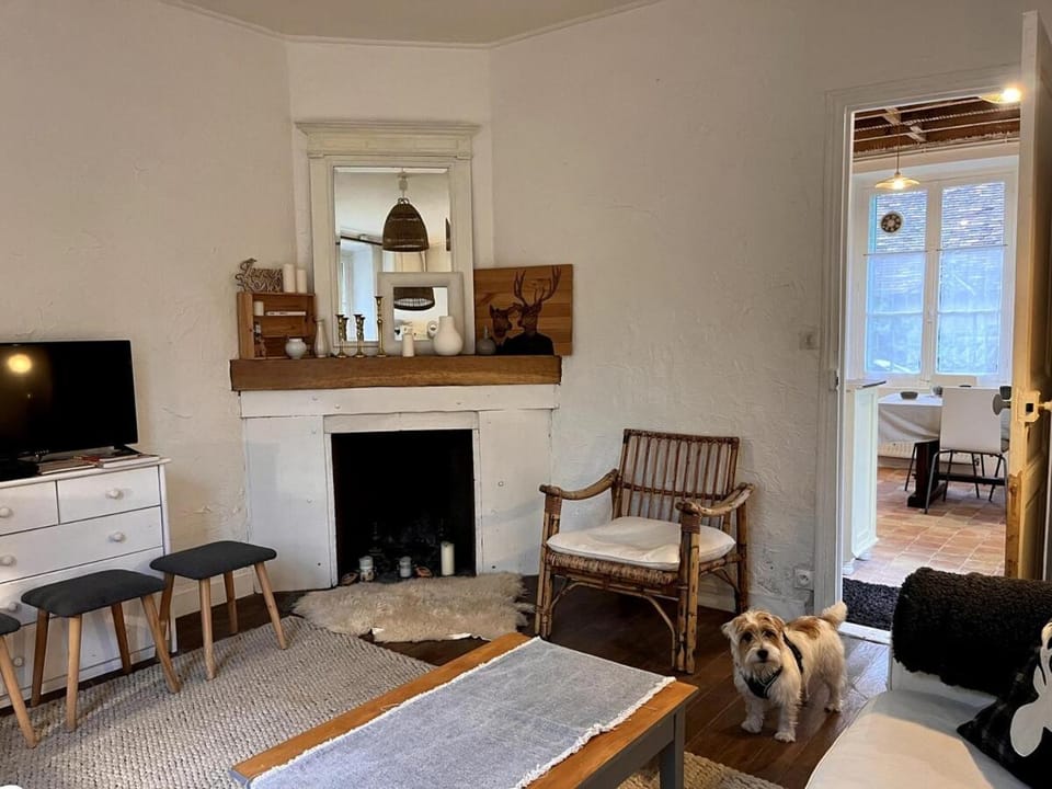 Living room, Animals, pet friendly, pet friendly