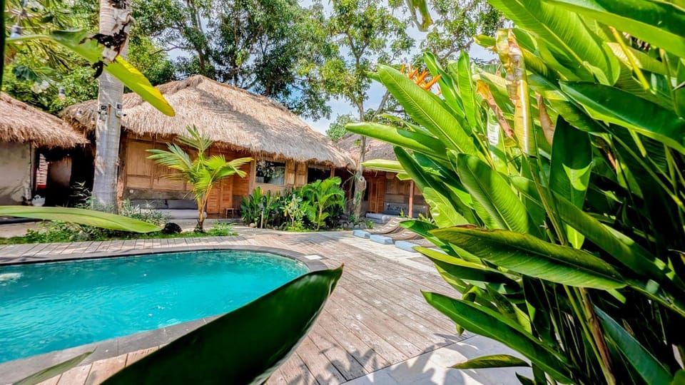 Property building, Garden, Garden view, Pool view, Swimming pool, sunbed