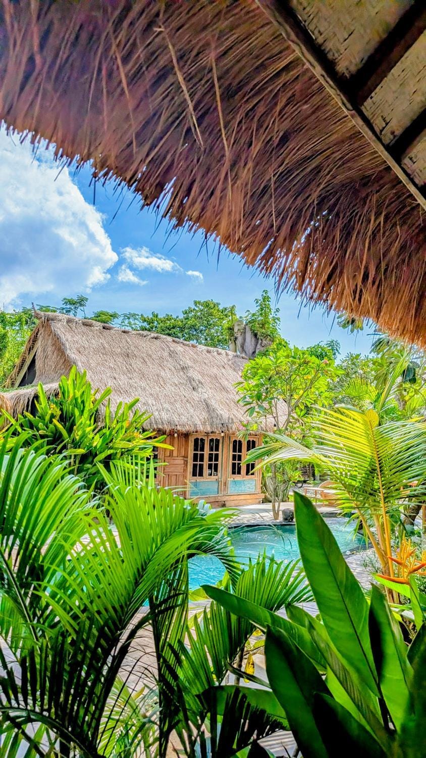 Natural landscape, Garden, Pool view, Swimming pool