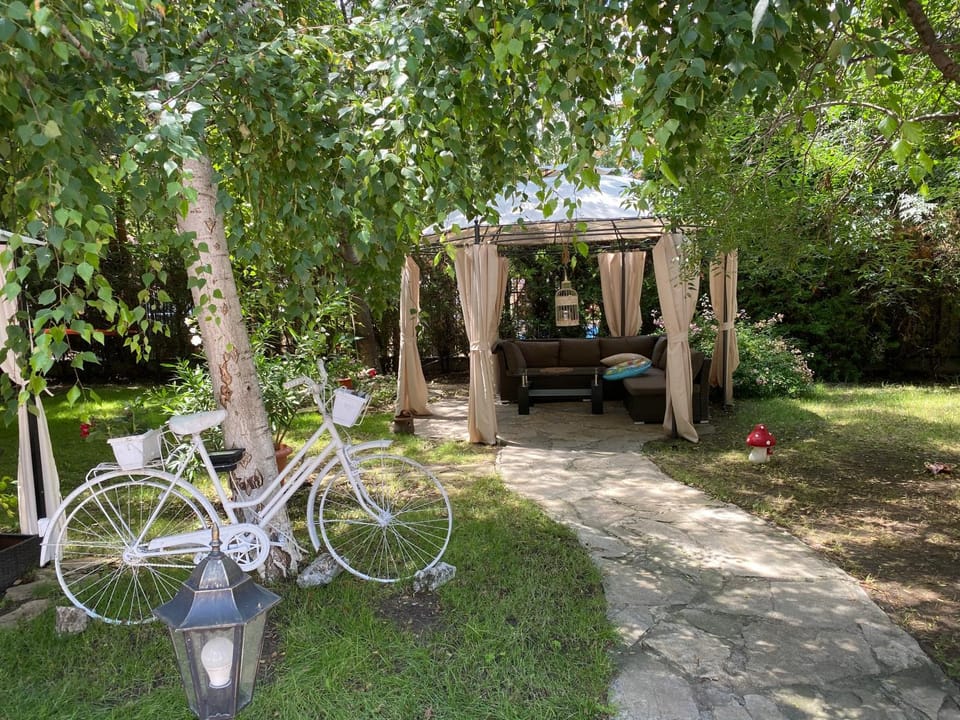 Patio, Spring, Day, Natural landscape, Garden, Garden view
