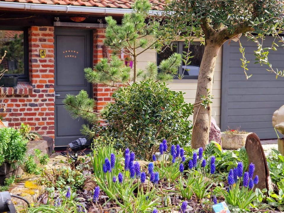Studio Malow Bed and Breakfast in Hauts-de-France