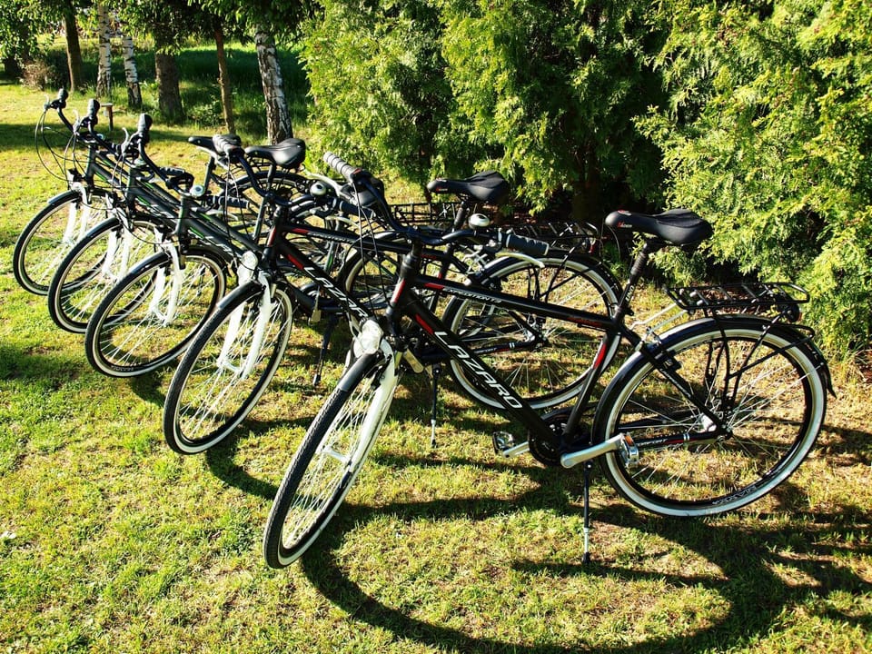 Activities, Cycling