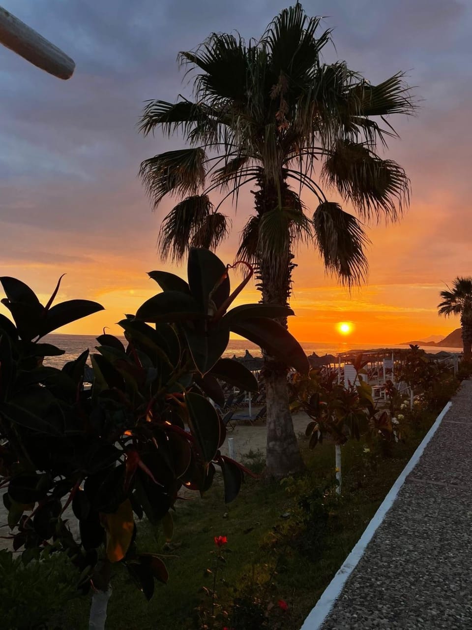 V-DelMar Hotel in Peloponnese, Western Greece and the Ionian