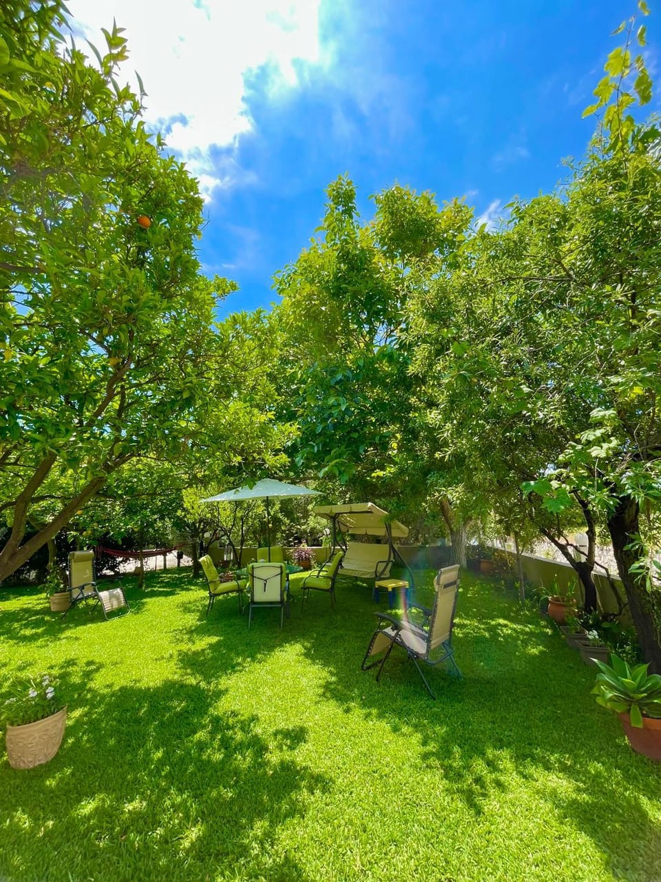 Day, Natural landscape, Garden, Garden view