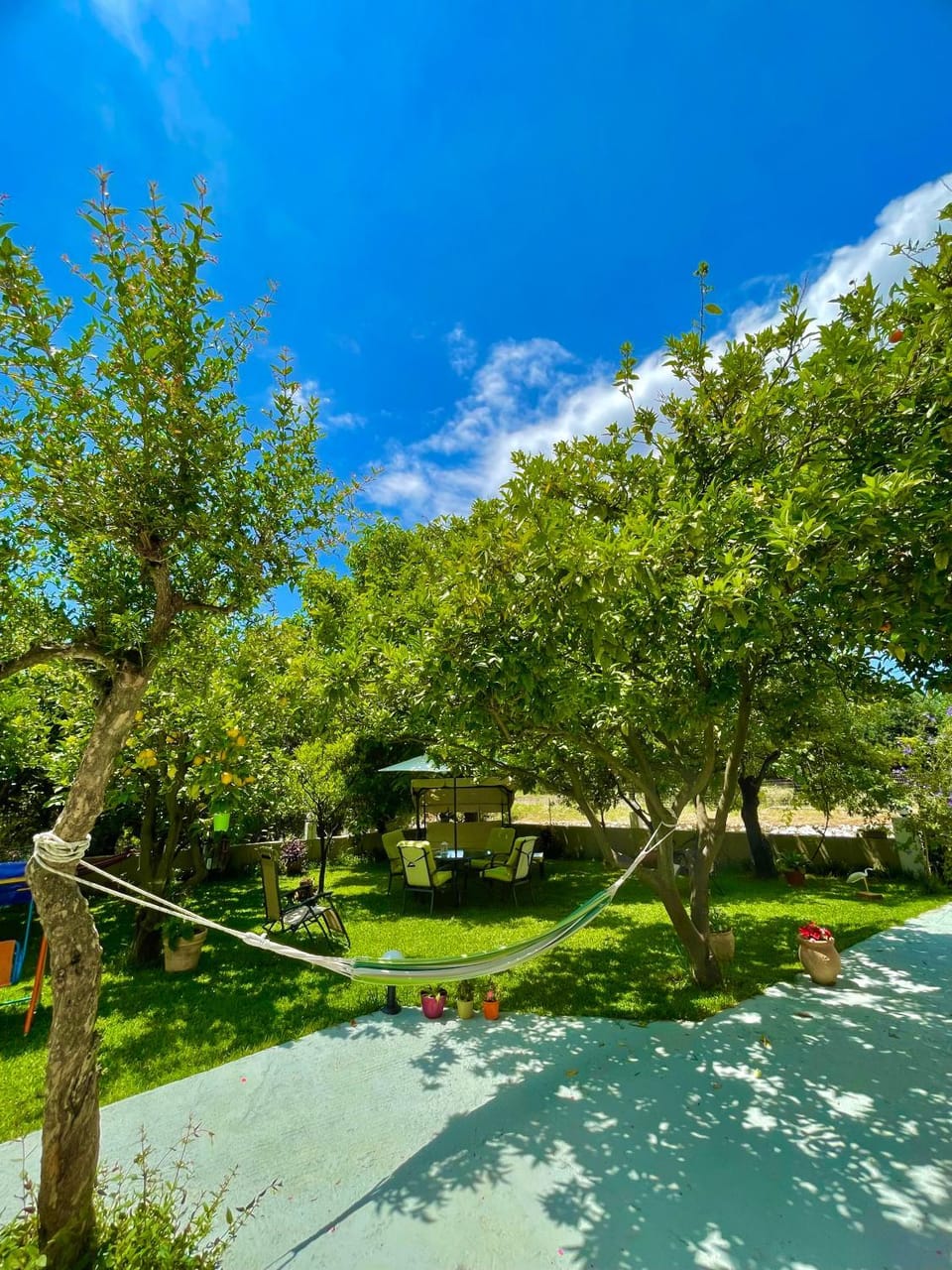 Day, Natural landscape, Garden, Garden view