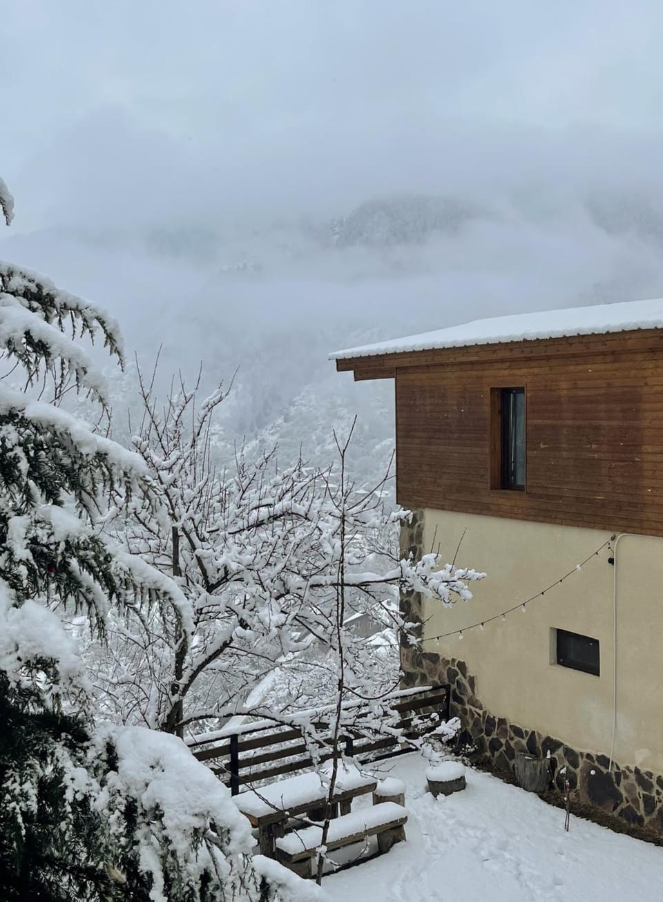 Property building, Winter, Mountain view