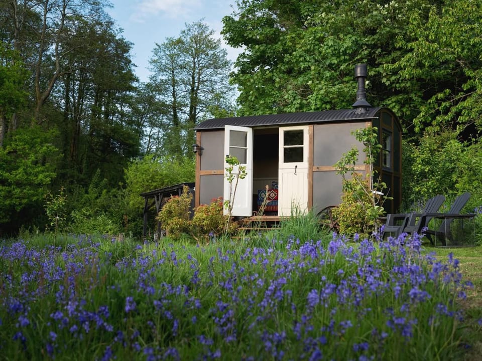 Natural landscape, Garden, Garden view