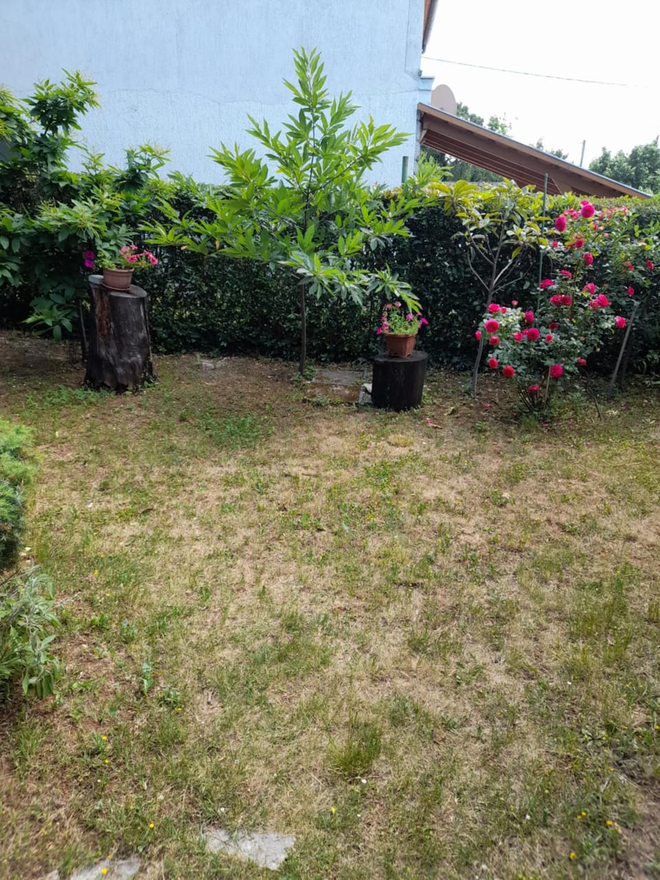 Garden, Garden view