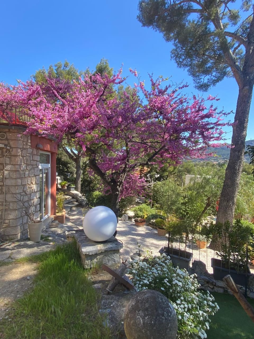 Spring, Garden