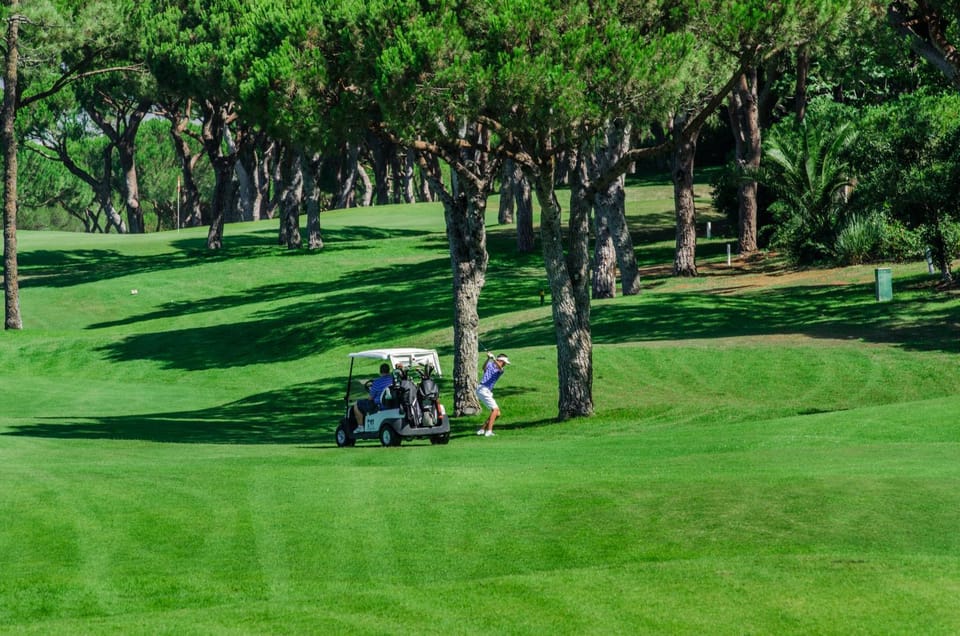 Natural landscape, Golfcourse