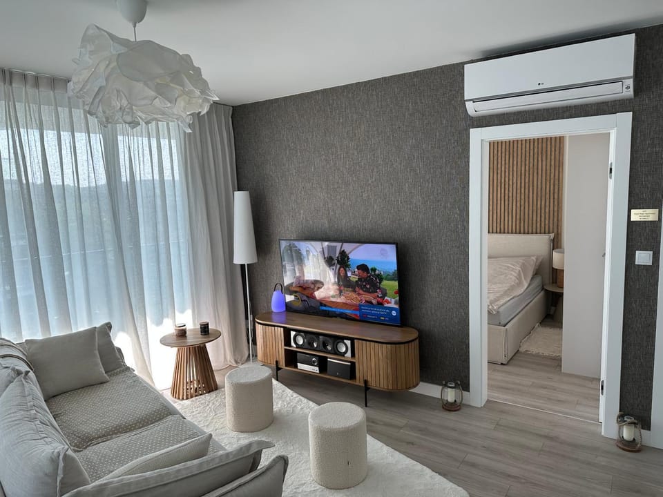 TV and multimedia, Living room, Photo of the whole room, Seating area, air conditioner