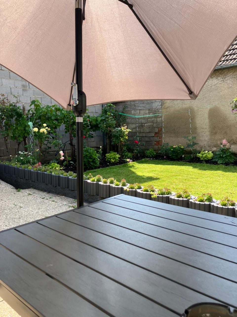 Garden view