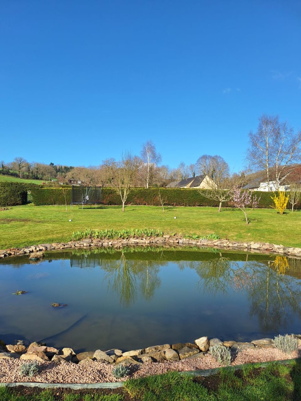 La grenouille amoureuse Bed and Breakfast in Auvergne-Rhône-Alpes