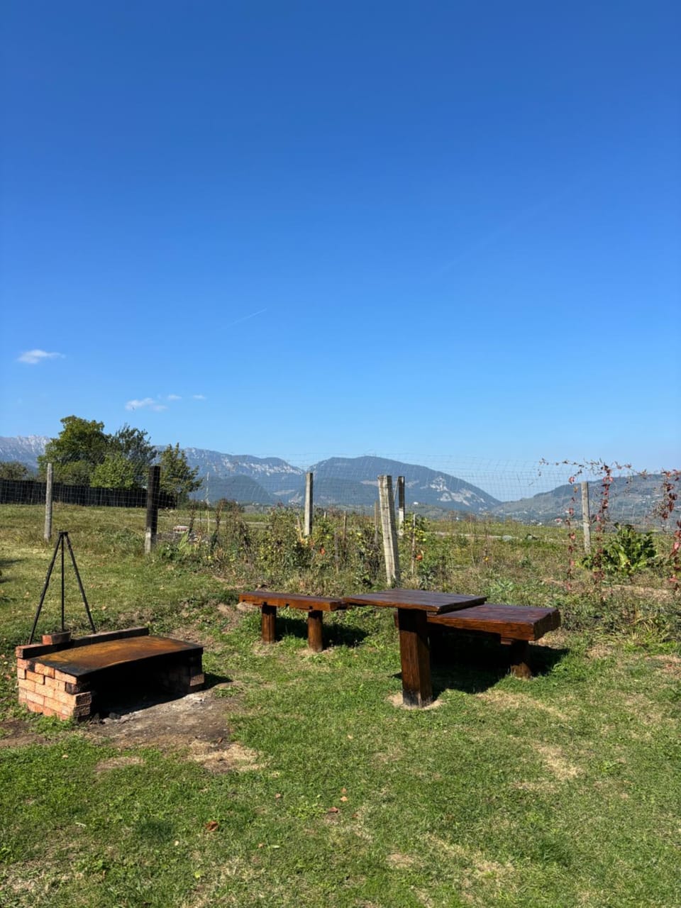 Transylvanian House Bed and Breakfast in Brașov County