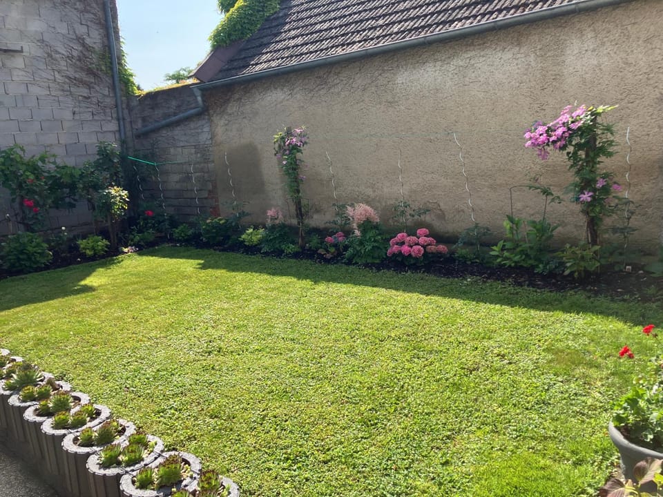 Garden view