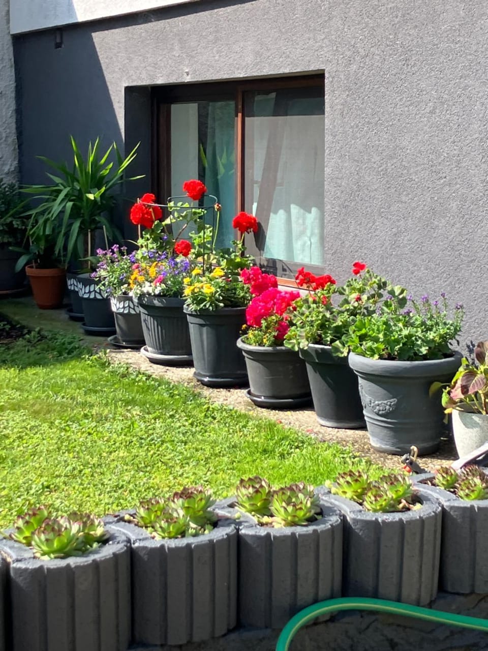 Garden view