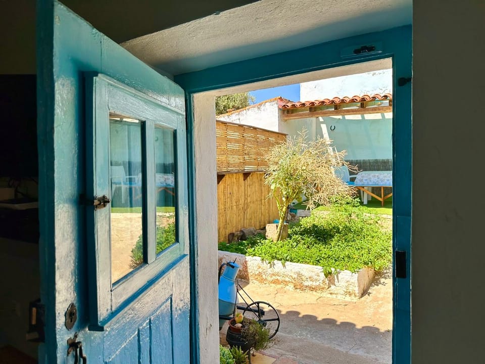 Patio, Spring, Garden, Garden view