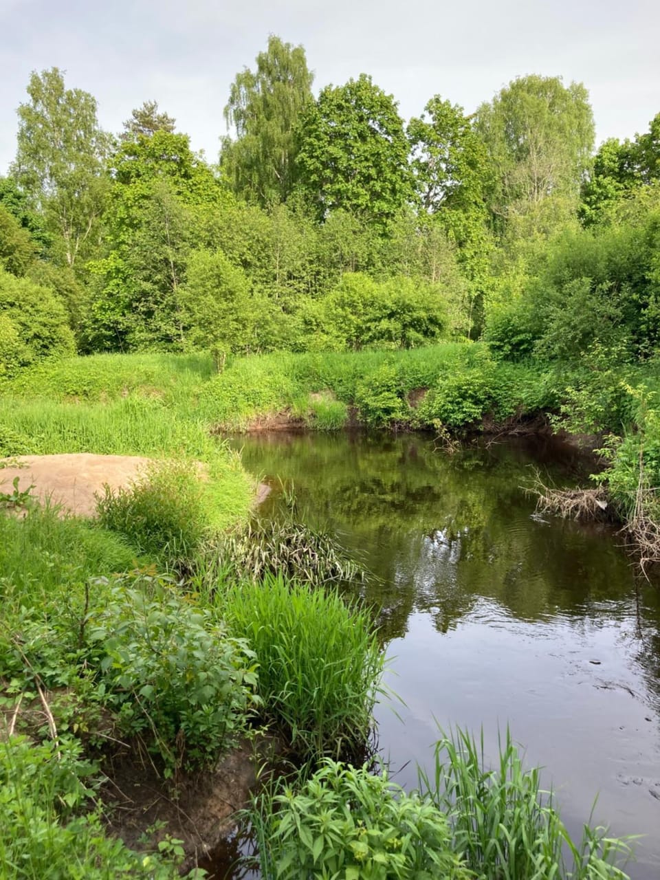 River view