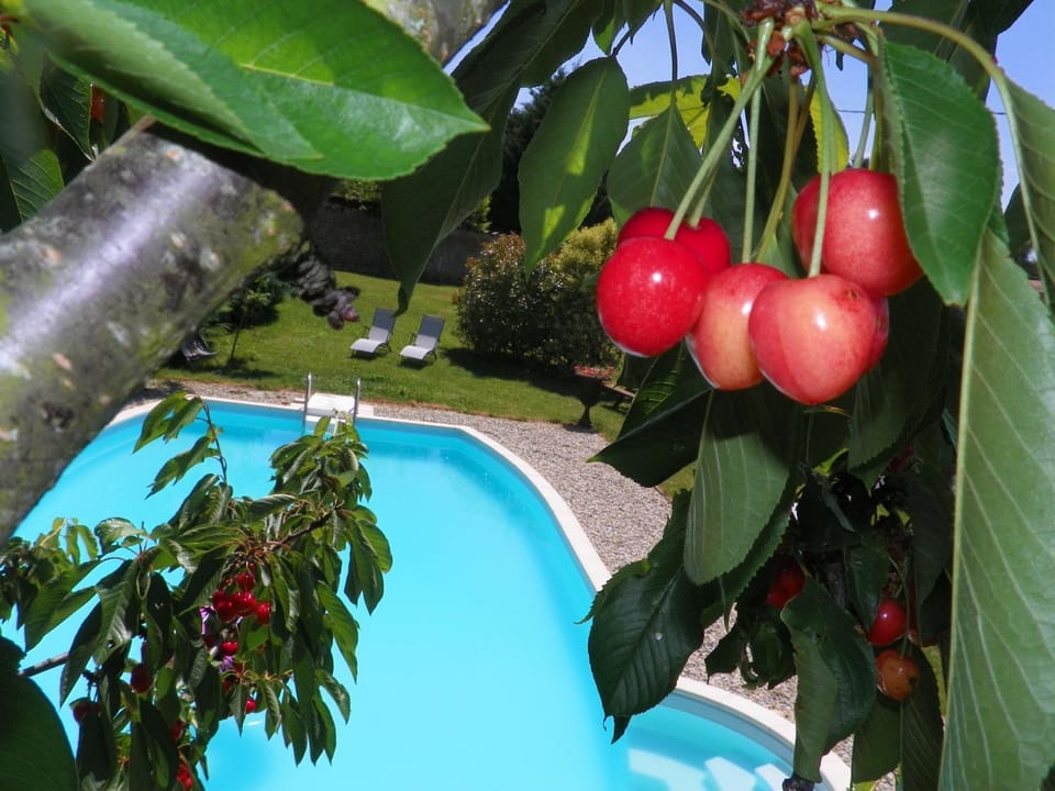 Swimming pool, Entertainment
