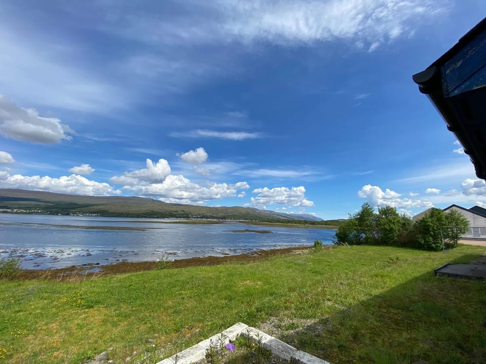 Garden, Lake view, Lake view