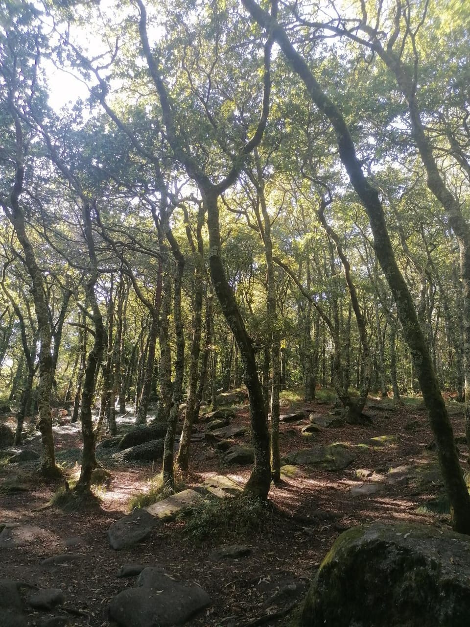 Natural landscape