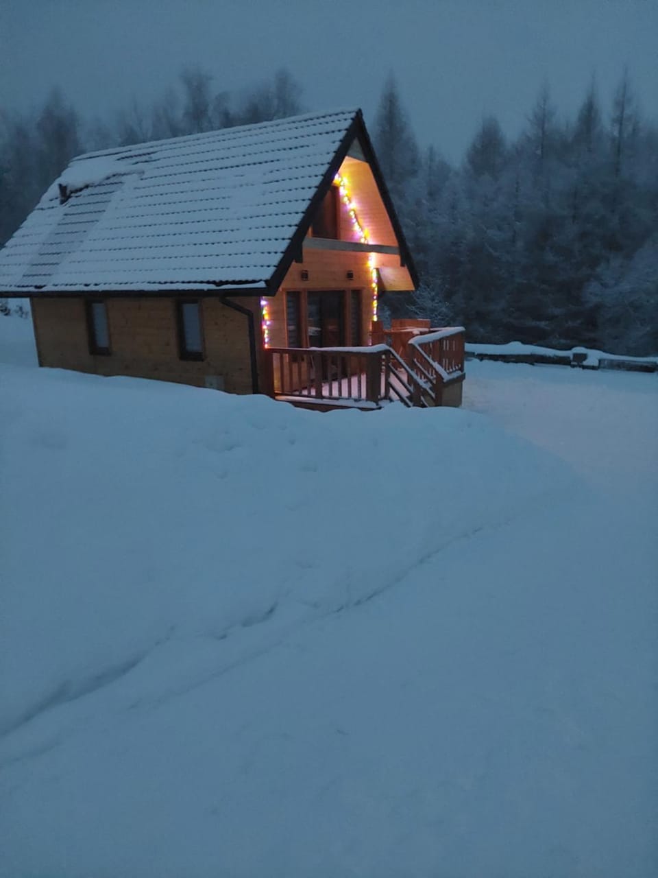 Domek Bieszczady - Domeczek Tymoneczek Chalet in Poland