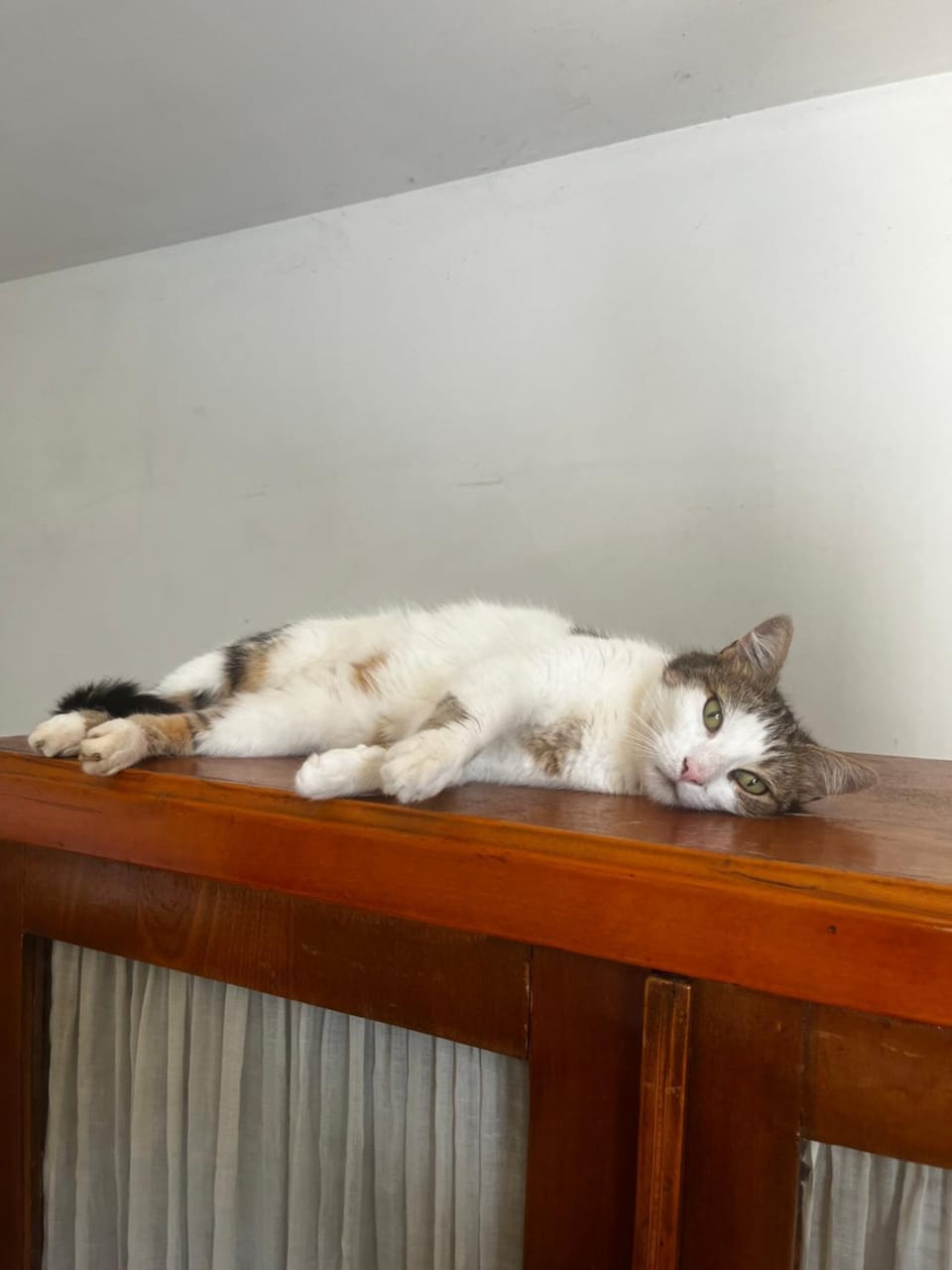 Le Mazet de choubouloute Bed and Breakfast in Provence-Alpes-Côte d'Azur