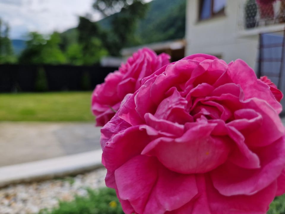 Renate House Bed and Breakfast in Serbia