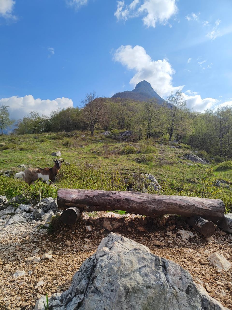 Nearby landmark, Mountain view