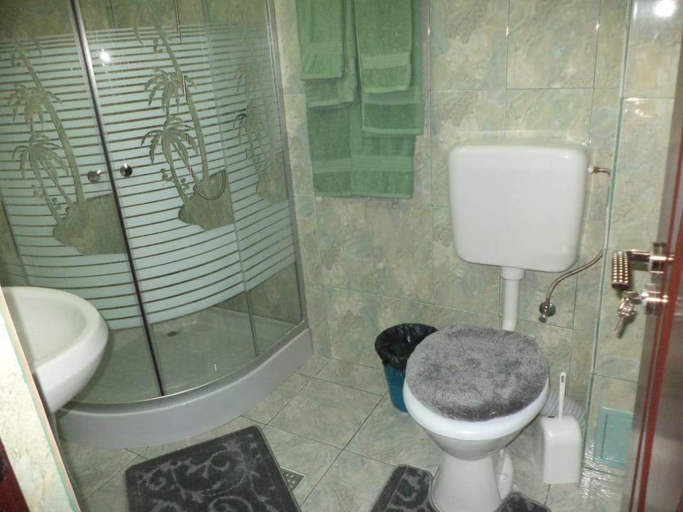 Pensiunea Anca Bed and Breakfast in Romania