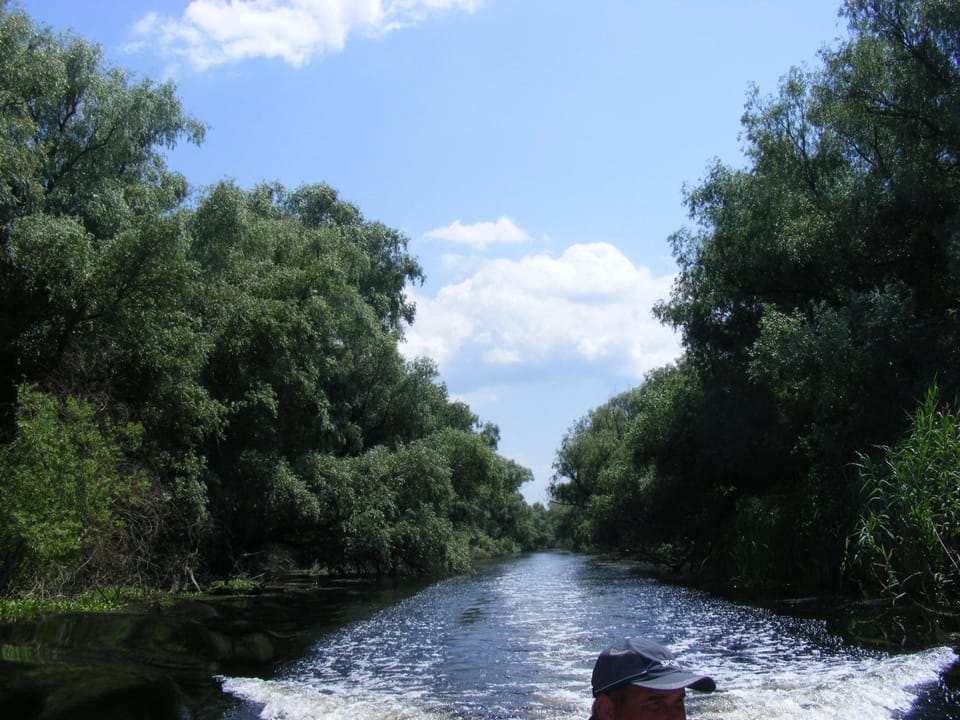 Pensiunea Anca Bed and Breakfast in Romania