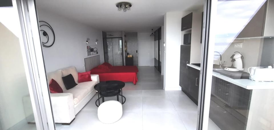 Naturiste Cap d'Agde Héliopolis C 30 Apartment in Agde