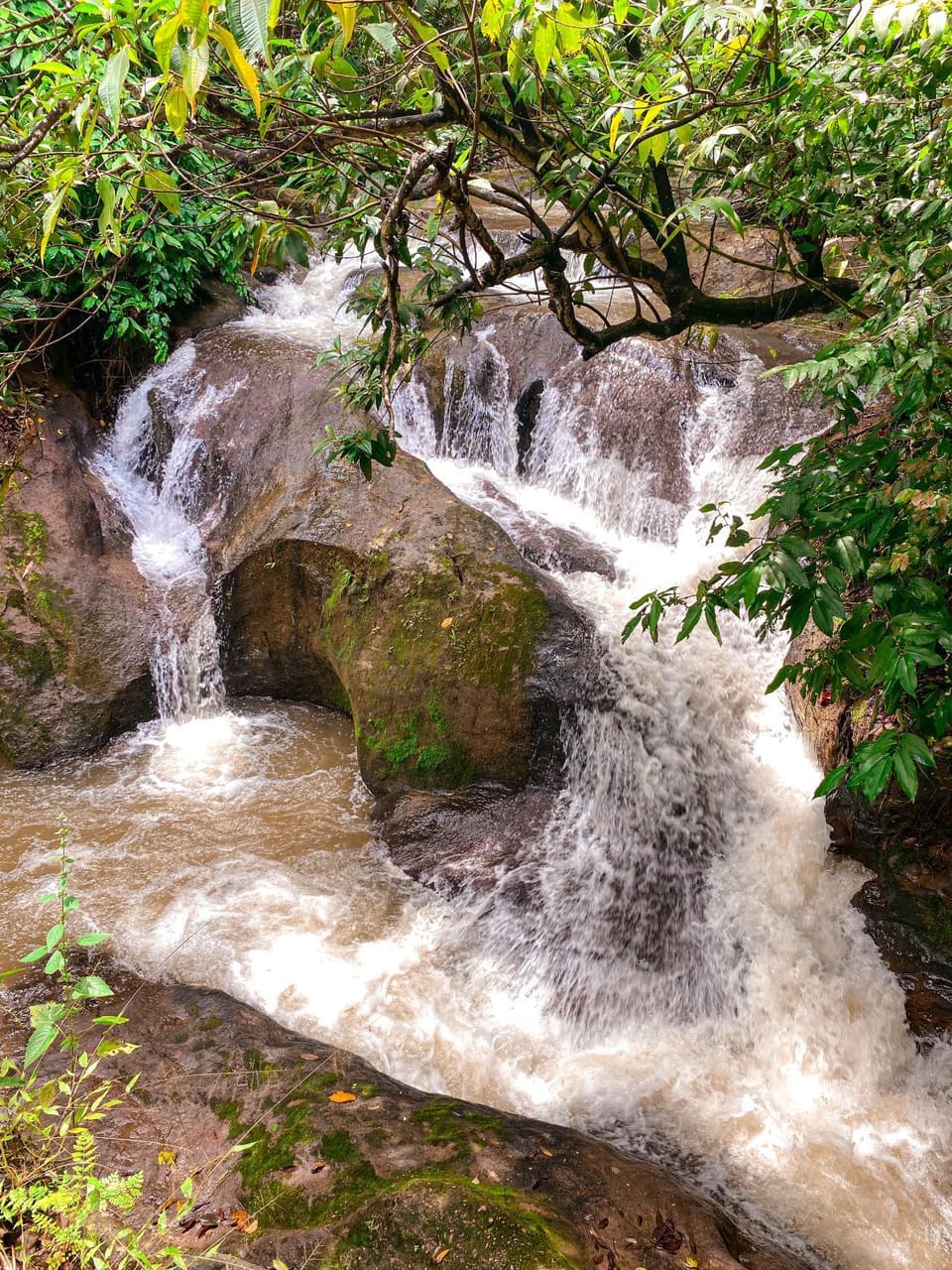 Nearby landmark, Natural landscape